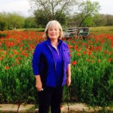 Whitecap Charters – Charlevoix 31'