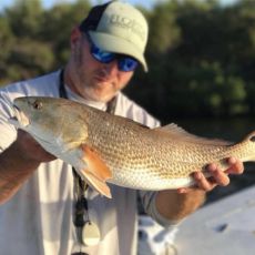 Daryll  Patisaul profile photo