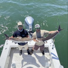 William Dunavant profile photo