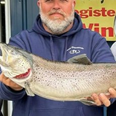 Matt French profile photo