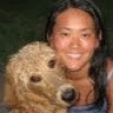 Sea Cross II - Fishing Miami