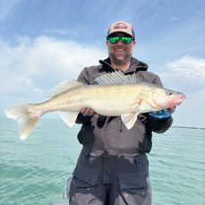 Mitch Thomas profile photo