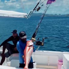 Elliot Giraud profile photo