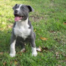 Feelin' Nauti Fishing Adventures