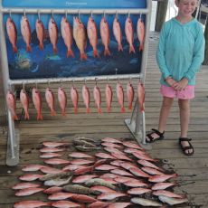 Wayde Zimmerman profile photo