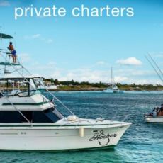 The Hooker Charters profile photo