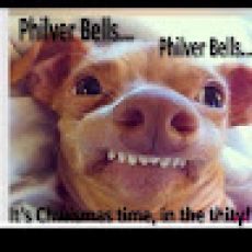 Reel Shallow Adventures