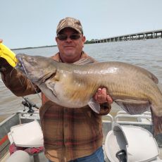 Wild Cat Guide Service – Cincinnati