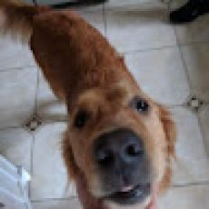 Wicked Cuda Sport Fishing