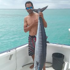 Billy Lamarque profile photo