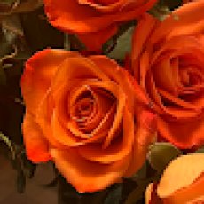 Rockaway Fishing Charters