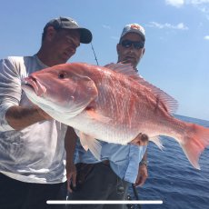 Alex Garland profile photo