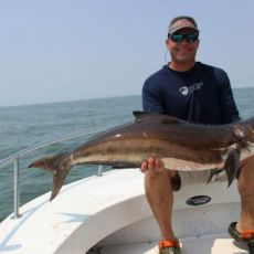 Grading Scales Sportfishing Llc profile photo