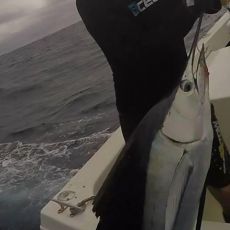 Reelax Fishing Charters profile photo