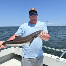 Andrew Roberts profile photo