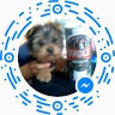 Azores Fishing Charter – Marlin 23'