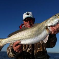 Allen Sifford profile photo