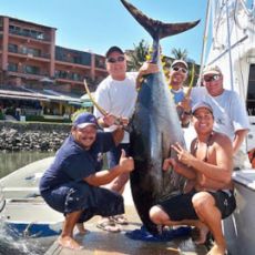 PV Hook Up profile photo