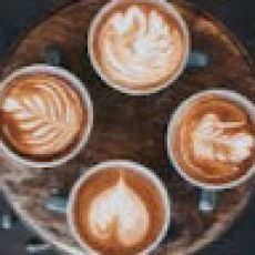 Toni Sportfishing Charter