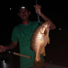 Matthew Schenk profile photo