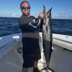 Mark DiDario profile photo