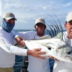 Longline Flamingo C.R. profile photo