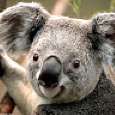 Finest Kind – Family Friendly