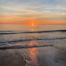 Reef Runner Charters Key West