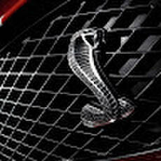 Burton lll Sport Fishing