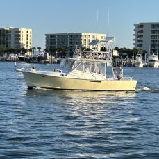 George's High Cotton Charters profile photo