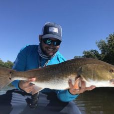 Dayron  Plana profile photo