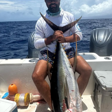 DURVARG DURVARG profile photo