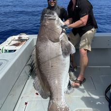 Fish Daily LLC profile photo