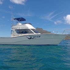 Vida Loca profile photo