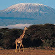 Southern Summers Charters