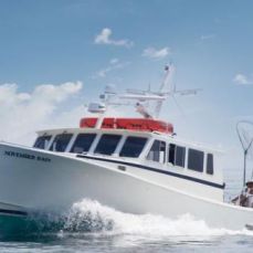 Steve & Jill Ruiz profile photo