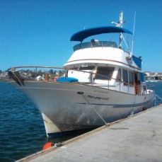 Nathan Beall profile photo