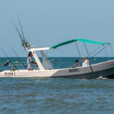 Tamarindo Fishing Trips profile photo