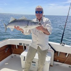 Doug Brown profile photo