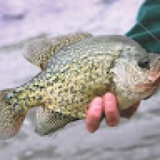 SunSetter Adventure   Ashtabula  Ohio