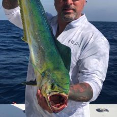 Mike OHANA profile photo