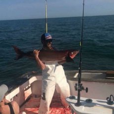 Tyler Allen profile photo