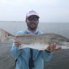 Will Jones profile photo