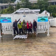 Alaska Affordable Adventures profile photo