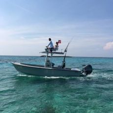 North State Guide Service  profile photo