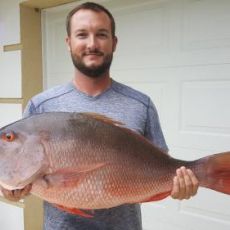 Kevin Kovach profile photo