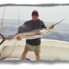 Peter Stassi profile photo