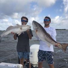 Austin Harris profile photo