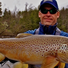 Nick Britton profile photo