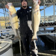 Dw's Guide Service profile photo